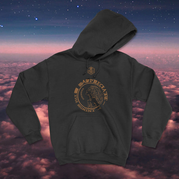 Appreciate The Moment Conscious Unisex Hoodie