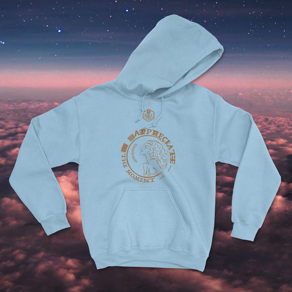 Appreciate The Moment Conscious Unisex Hoodie