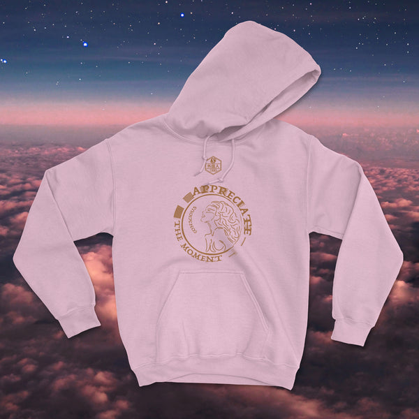 Appreciate The Moment Conscious Unisex Hoodie